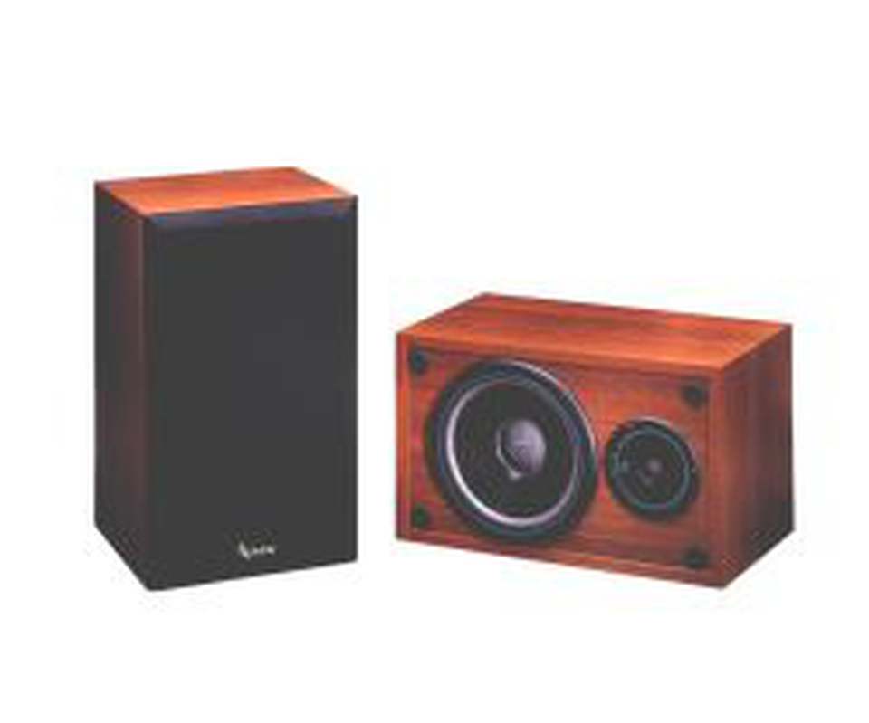 SM 65 - Black - 2-Way 100 Watt Speaker - Hero